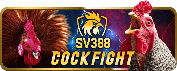 Cấp độ VIP Bạch Kim dwin